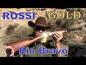 Is The $300 Rossi Rio Bravo "Gold" .22 LR Lever Action Rifle Accurate & Reliable? Shooting Review!