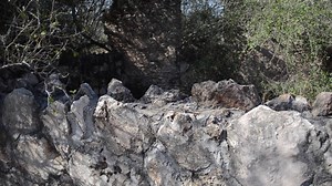 11K views · 201 reactions | Drive 20 minutes north of Edinburg and you will come across through one of the most well-known ranches in South Texas. Laguna Seca, as it is known to many Valley residents, was believed to have grown one of the first orange trees in the Rio Grande Valley. Here's a short historical overview about Laguna Seca and its former owners. | Museum of South Texas History | Facebook