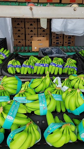 miss call (@miss.call285)’s videos with original sound - miss call