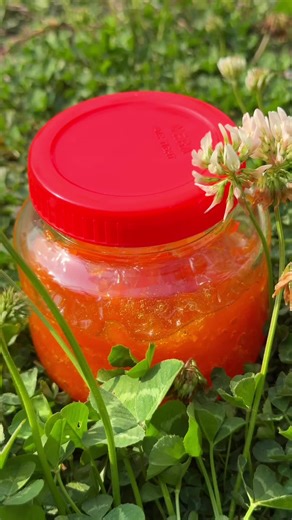 Homemade Orange Marmalade Recipe