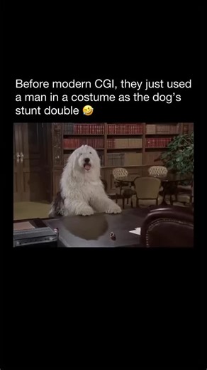 ENDSHUMOUR 😂🎥 on Instagram: "That punch threw me off completely 😭😭 The Shaggy D.A. (1976) is a family comedy film and a sequel to Disney’s 1959 classic The Shaggy Dog. Directed by Robert Stevenson, the film follows the quirky and humorous adventures of Wilby Daniels, played by Dean Jones, who is an upstanding district attorney. However, Wilby has an unusual secret: he transforms into a dog, specifically a shaggy sheepdog, whenever he gets overly excited. The plot centers around Wilby trying 