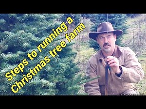 Running a Christmas Tree Farm: A brief overview