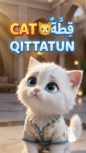 🐱 CAT in Arabic?! 😂 | QITTATUN | Learn Arabic With Friends