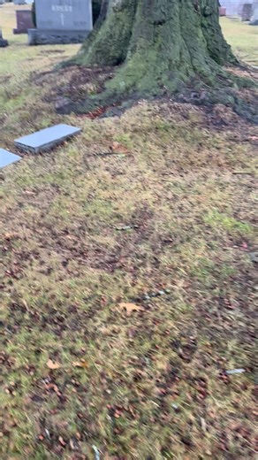 Sammy Davis Jr. connection with Akron Ohio. DixieLee Insurance Solutions Out & About series.