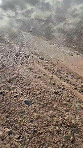 Im feeling it today boys | Low Water History