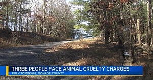 3 face dozens of charges after horses, rabbits found dead at Monroe County property