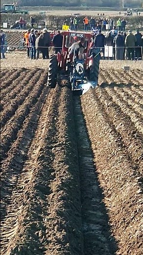 Repr. Scotland Massey Ferguson 133 Ransomes at The 2025 European Ploughing Championships