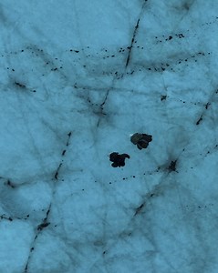 Get early access to the new SITKA STUDIO limited edition drop. | SITKA Gear | Facebook