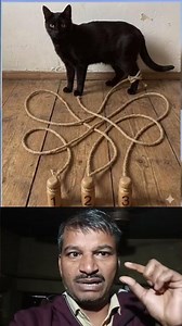 To which number peg is the cat tied? #paheli #short video