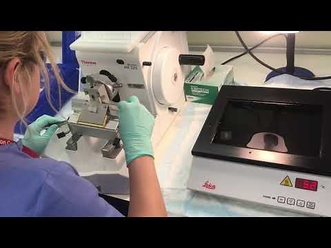 Histology Tips: Waterbath