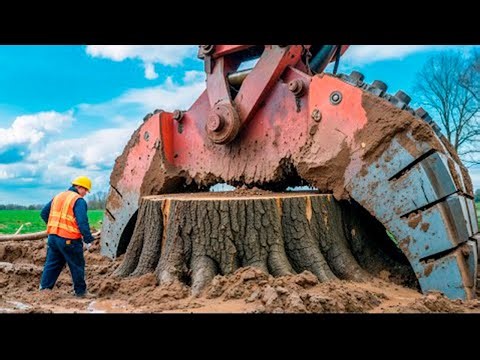 Extreme Dangerous Monster Stump Removal Excavator | Amazing Fastest Wood Chipper Machines