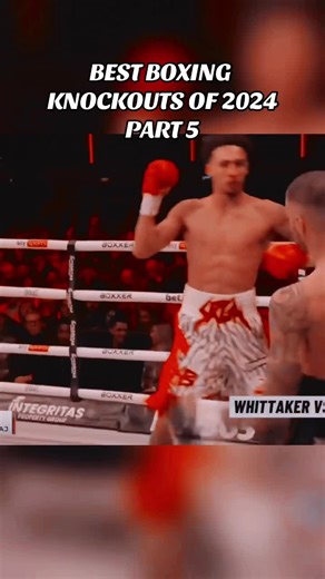 Best Boxing Knockouts of 2024 Highlights