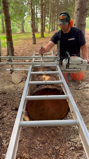 The Beginning of some NICE Double Crotch Black Walnut Slabs Sliced using my Granberg Alaskan Mill