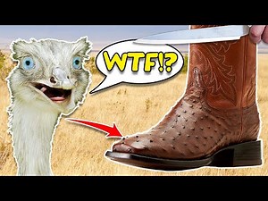 Why Ostrich leather Cowboy boots are expensive - Ariat Benchmade