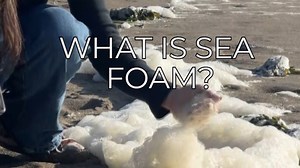 What is sea foam and what causes it?
