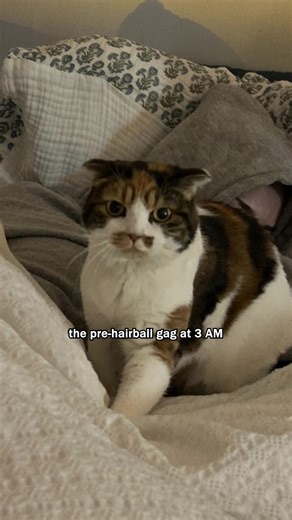 Stop 3am hairball mess with this tasty treats!