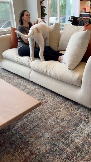 25K views · 60 reactions | A completely washable couch?! yes please!...