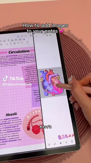 Add Images to Your Notes Using Penly App