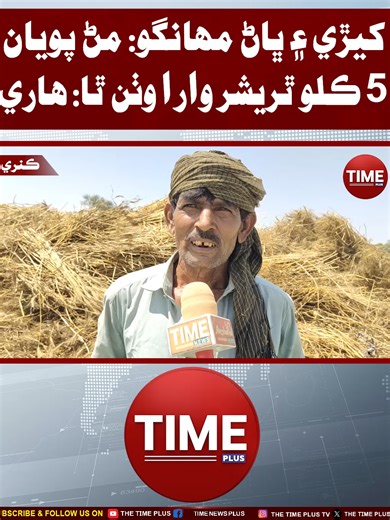 5 Kilo Thareshar Wara Wathan Tha | Time News HD #wheatprices #farmersmarket #cropprice #agriculture #farmerconcern #sindhnews #ruralissues #wheatsale #sindh #timeplus #timenewshd #sindhinews