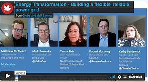 The future of the energy grid