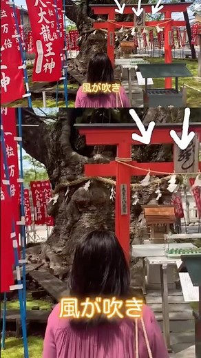 見えましたか？㊗️#神さま見える#龍神 #龍 #龍神nippon #かおりの虹#今宮神社