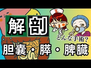 [Gallbladder, pancreas, spleen] Dr. Tama's illustrations explain anatomy and surgery for operatin...