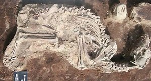 New Evidence Shows the Human-Animal Bond Goes Back to the Paleolithic Era