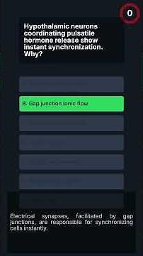 USMLE-1 Synaptic Transmission Essentials