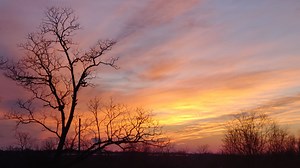 Get ready to spring into 8 o'clock sunsets soon