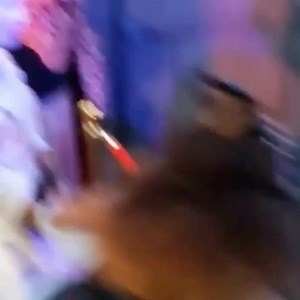 11 reactions | MADWORLD is one of America’s biggest, best & scariest haunted attractions!  With tens of thousands of screaming guests in attendance each year, MADWORLD is sure to give you all the vibes!!!  Stay on the lookout for NEW contests and surprises coming soon... | Madworld Haunted Attraction | Facebook