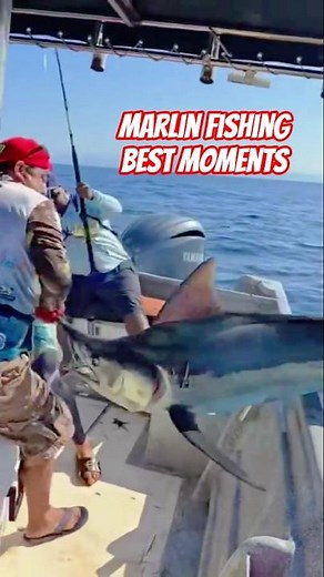Epic Marlin Jump Out of the Ocean 🌊🐟 #shorts #fishing #marlinfishing #usa #shortsfeed