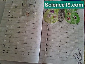 Πώς να εκτιμήσετε τα κλάσματα σε έναν υπολογισμό μικτών αριθμών 💫 Επιστημονική Και Δημοφιλή Ιστοσελίδα Πολυμέσων. 2025