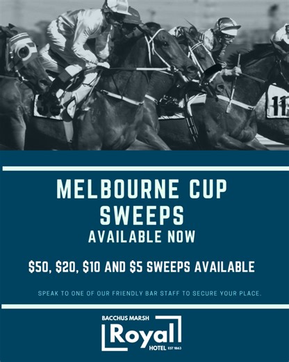 Melbourne Cup at The Royal  Drink specials, sweeps, and full Punters Club TAB facilities — all the action live on the big screen!  | The Royal Hotel | Facebook