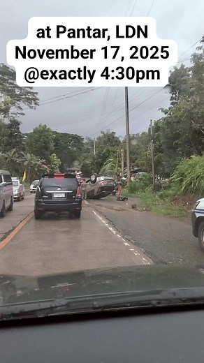 445 reactions · 26 shares | Journalist Publisher on Reels | Facebook