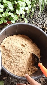 Estanque pequeño pare el jardin, el balcón o la terraza. | Eco Jardín Mágico