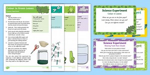 EYFS Jungle and Rainforest Science Experiments Resource Pack