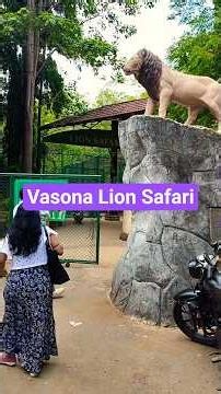 Vasona Lion Safari: Vapi to Silvassa Trip 🚗#VasonaLionSafari #Silvassa #WildlifeSafari #VapiDiaries