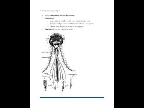 Grade 10 Biology Notes Complete for Term 1, 2, & 3 notes