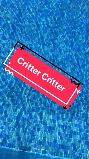 The Surprising Crawdad Discovery Explained