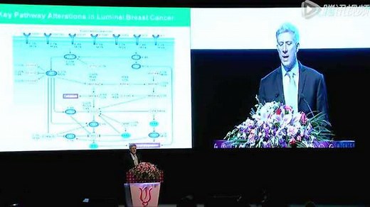 细胞周期、通路与CDK抑制剂的作用机制
