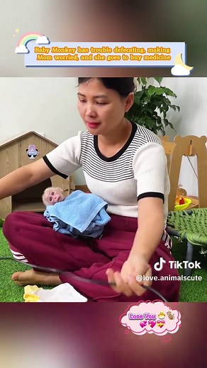 Baby Monkey has trouble defecating, making Mom worried, and she goes to buy medicine #animal #animals #monkeys #pet #monkey #babymonkey #loveanimals #babyanimals #pets