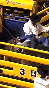 Pretty Woman’s debut inside the T&M - 85.5 points. | C5 Rodeo