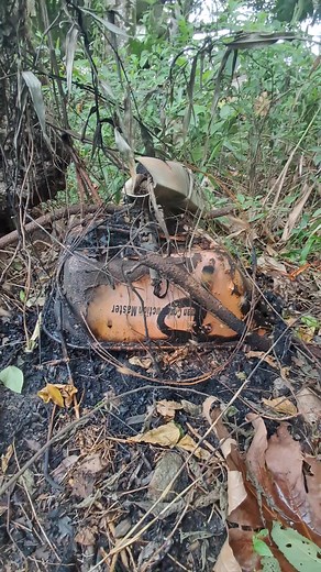 Tip Of The Day - Do Not leave your old wheelbarrow turned down in the bushes. Dispose of it properly, use it as a planter or punch a hole in it and leave it upturned so it doesn't become a breeding ground for mosquitoes or bees. #guyanesetiktok🇬🇾 #foryoupagе #beemandiaries