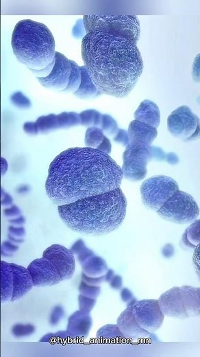 We have just discovered how bacteria truly moves #science #bacteria #knowledge