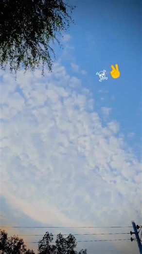 #song🤔💜💜 #fypシ゚viral #viral🖤tiktok☆♡🦋myvideo #@fari khan @A W A N B A R A N D 🤫💯🖕🖕 @Asad Abbas 46👑 @MǓŽÂMÏŁ BÂĆHÂ 46🌘