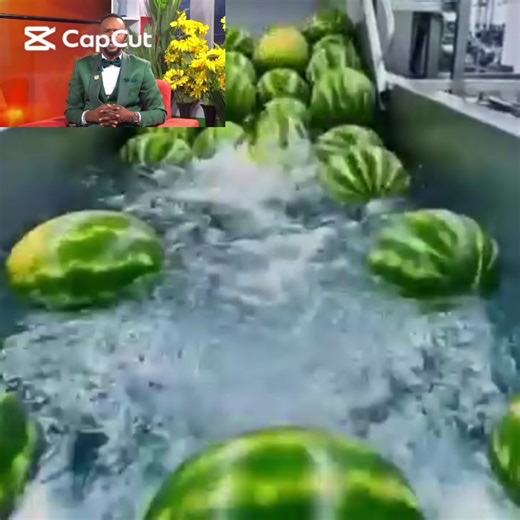 Watermelon Juice Processing Techniques