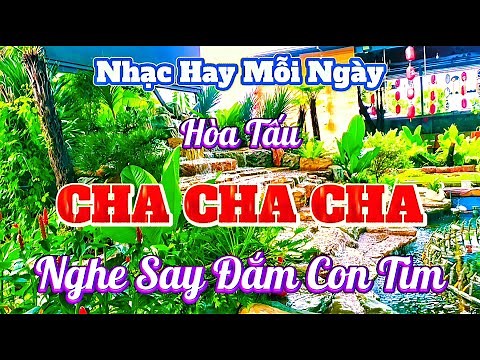 Nhạc Cha Cha Cha Hay Nhất Hiện Nay | Lk Hòa Tấu Cha Cha Cha Sôi Động Đặc Sắc | Organ Channel