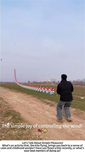 Finding Freedom: Flying a Kite in the Open Field 🌾
