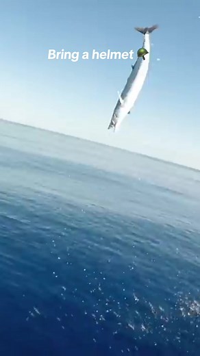 Exciting Wahoo Fishing Adventure: Explosive Strikes and High-Speed Action