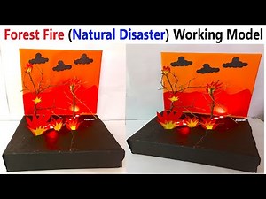 forest fire - natural disaster - working model for science project exhbiition - diy | DIY pandit